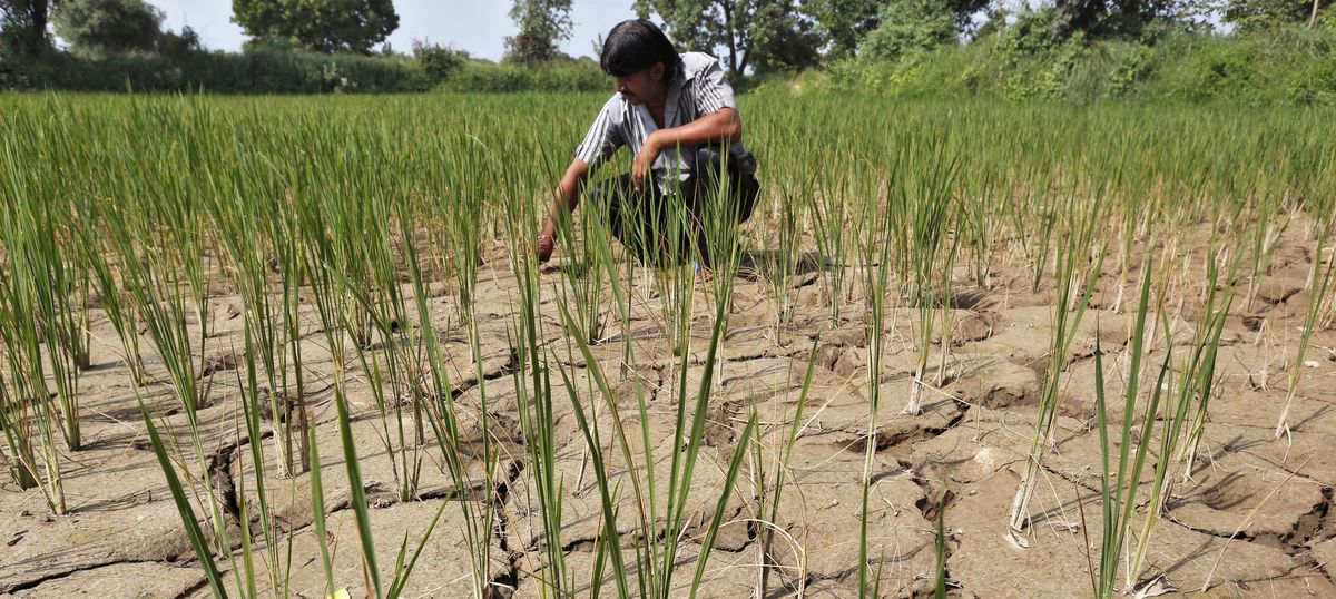 Amid acute shortage, Karnataka cannot release water to Tamil Nadu for irrigation, says Siddaramaiah