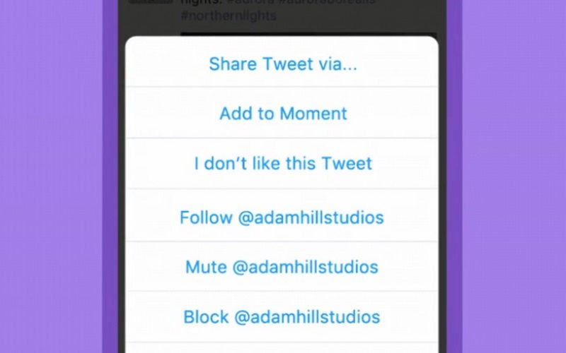 Twitter’s Moments Feature Is Now Available for Mobile Users Twitter’s Moments Feature Is Now Available for Mobile Users
