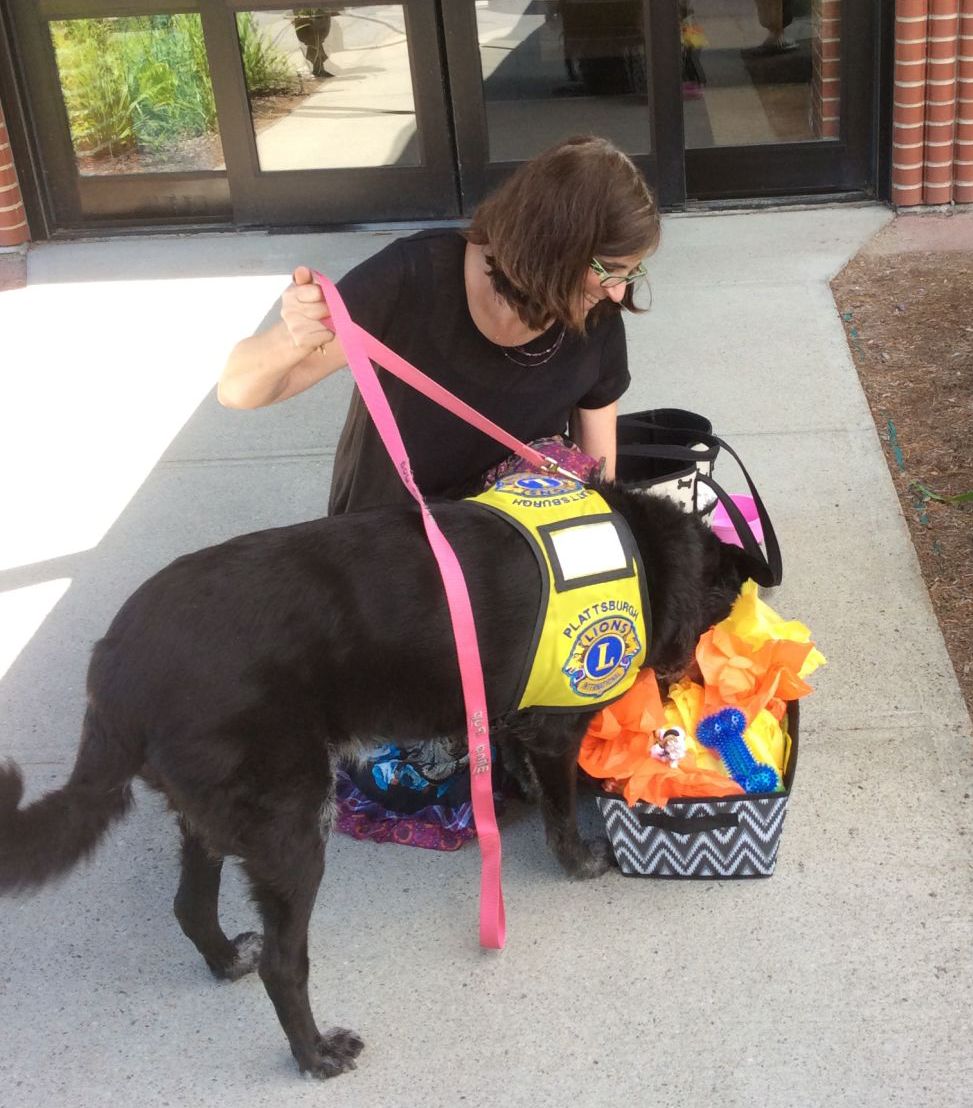 Blind Pup Insights: June 29, 2017 Blind Pup Insights: June 29, 2017